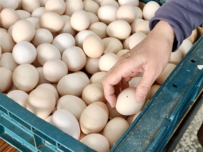 北市蛋商扬言休市 农委会：无介入蛋价 尊重产销与市场机制
