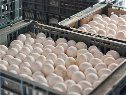 陈吉仲：鸡蛋休市是假议题 3月底前进口达700万颗