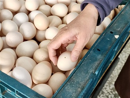 鸡蛋进口扩大 陈吉仲：4、5月进口各3000万颗