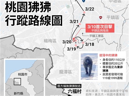 東非狒狒現蹤桃園 農業局：若私自飼養最高罰5萬