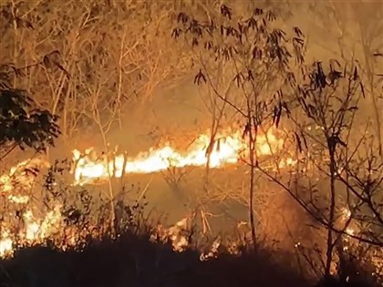 影片／台东知本湿地大火 数公里外可见火光