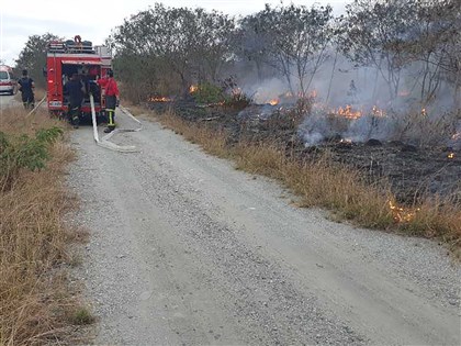 台東知本溼地大火凌晨撲滅 保育團體憂生態浩劫