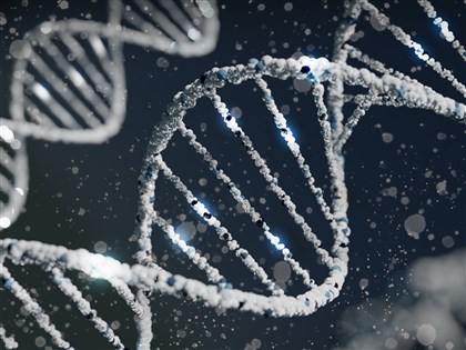 打破學界認知 中研院團隊發現「必要基因」會改變