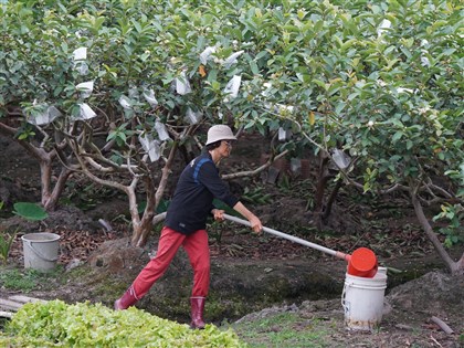 立院初審通過農業部組織法草案 陳吉仲哽咽致謝