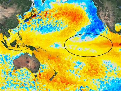鄭明典：聖嬰現象發展 颱風生成會距離台灣更遠