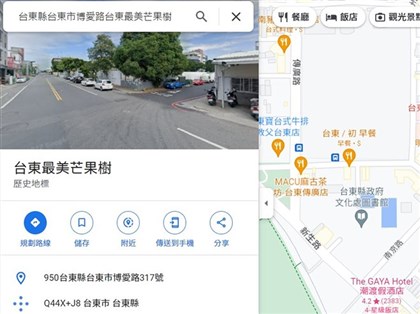 歷史地標紀錄台東老樹悲歌 民眾嘆：最酸新地標