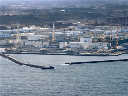 福島核處理水排海 漁業署：魚體採檢每季公告