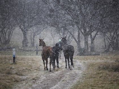 南非約翰尼斯堡睽違11年罕見降雪 氣象局指道路可能封閉