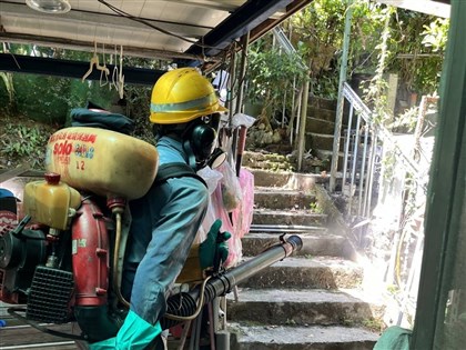 北市再增1例本土登革熱 文山區6旬男無出國及中南部活動史