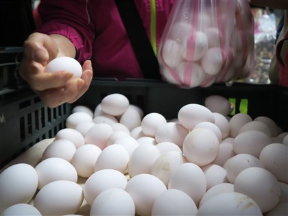 蛋價會議26日召開 蛋農盼產地價每台斤漲3元