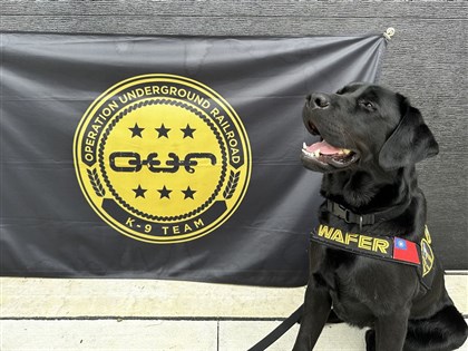 台灣首隻電子產品偵測犬掛國旗在美完成受訓 手機硬碟都聞得到