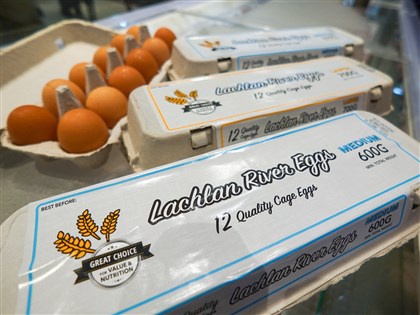 進口蛋爭議 陳吉仲：依世界動物衛生組織規範絕對沒問題