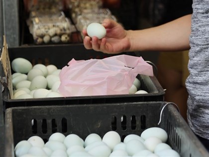 農業部：產蛋率再增4% 國產雞蛋才能供應無虞