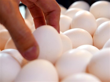 畜產會：超思先墊進口雞蛋款項 檢驗合格才付款