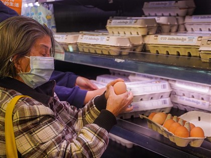 進口雞蛋遭指發國難財 貿易商聯合聲明：以後沒人敢挺身而出