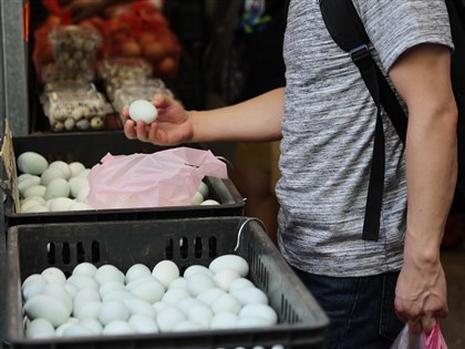 國產蛋日產量穩定攀升 最快2個月後自給自足