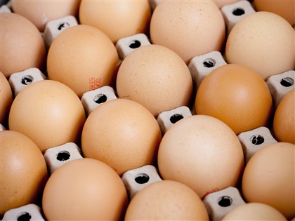 農業部：進口蛋上市一定安全 標錯有效期限依法處置