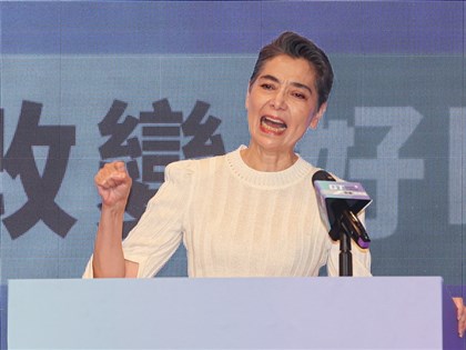 賴佩霞擁雙重國籍 AIT：放棄美國籍需國務院裁決恐長達6個月