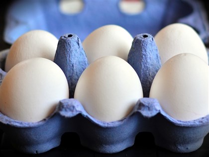 巴西進口蛋未塗蠟 農業部：有噴膜 各國用不同材質保護蛋殼