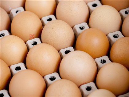 農業部進口蛋屢遭質疑 蛋商：窮追猛打太誇張