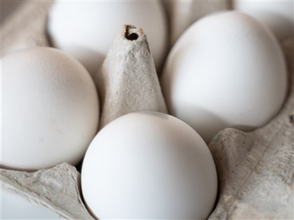 畜產會未完整登錄倉儲資訊等2缺失 北市開罰16萬