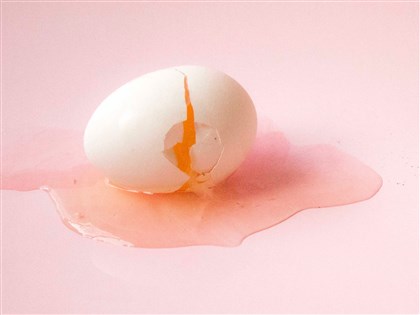 Linbay好油恐嚇案自導自演 國民黨工許哲賓收押禁見