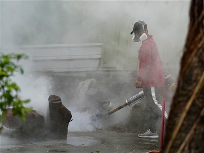 登革熱本土病例累計破1.5萬 17歲女併發肝炎重症