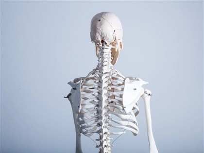 骨鬆醫學會調查近千萬人骨骼有風險 籲3動作自我檢測