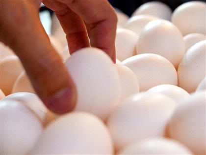 雞蛋買氣下滑 北市蛋商公會：蛋價每台斤降2元