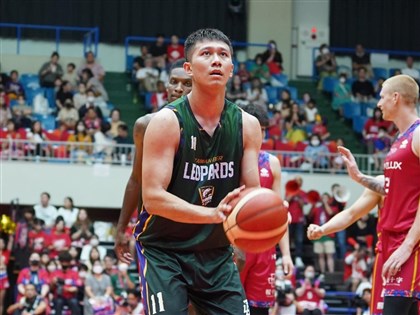 台啤雲豹羅振峰涉賭 士檢：連同吳季穎案一併查明