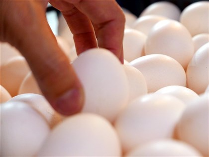 買氣不振 蛋價降2元連3週調降