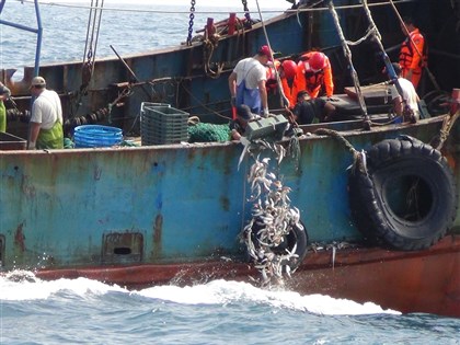 中國漁船越界捕魚 台中海巡隊押回13人、漁獲海拋