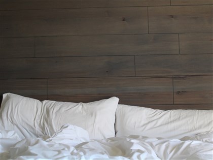 臭蟲入侵法國延燒到亞洲 專家提醒2防治手段