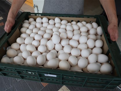 國產雞蛋產量恢復 14日起暫停專案進口
