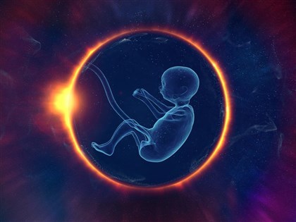 人類探索移居外星 荷蘭企業預先研究太空生殖