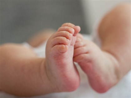 8天大女嬰腸病毒重症 併發癲癇送加護治療