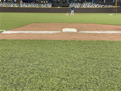 大巨蛋缺專業養護 草皮紅土和LED看板都成問題