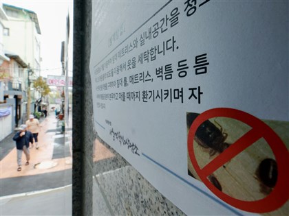 臭蟲床蝨怕什麼藏在哪？咬痕傷口長怎樣？防治QA一次看