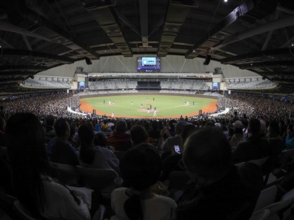 棒球亞錦賽大巨蛋開打 北市擬增觀眾席位防黃牛票