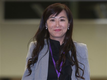 台南立委選情綠拚3度6席全壘打 藍尋求突破