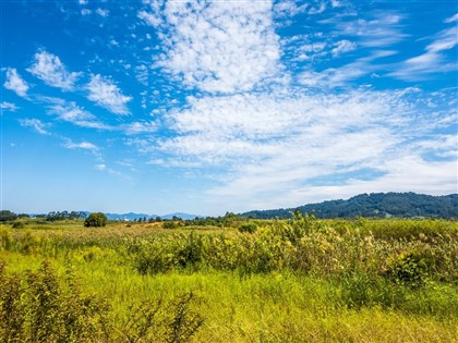 坦尚尼亞碳權協議涵蓋6國家公園 將扮非洲碳市場要角