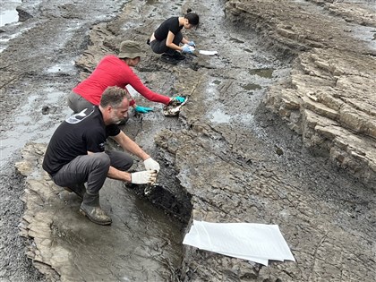 新北高屏等5縣市海岸油污 海保署衛星、無人機揪元凶