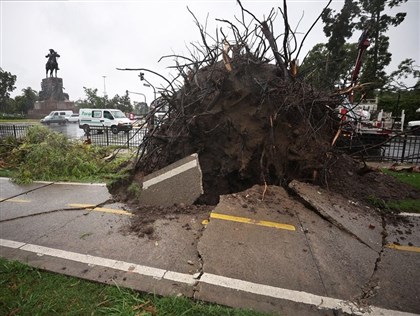 破百公里強烈暴風侵襲阿根廷釀15死 街道滿目瘡痍