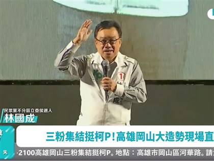 林國成稱提穿著是幽默 苗博雅：重打柯文哲巴掌