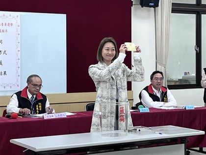 桃園立委候選人馬治薇涉犯反滲透法 民眾黨開除黨籍