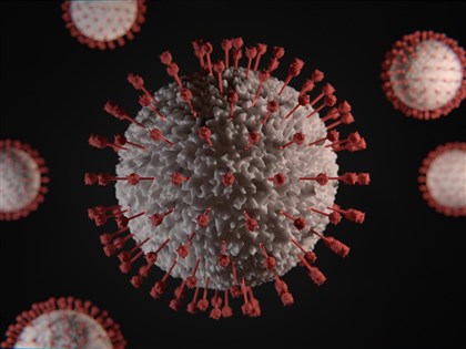 中國研發新冠狀病毒 實驗鼠致死率百分百 學界批可怕無意義