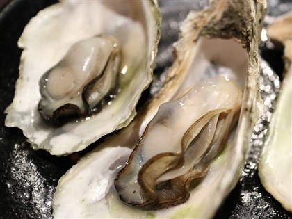 蚵農反映大量中國牡蠣洗產地來台 漁業署專案稽查