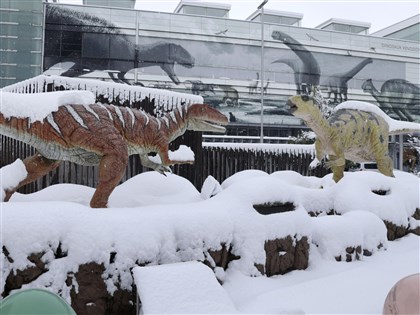 入冬最強寒流侵襲 日本岐阜及滋賀降雪破紀錄