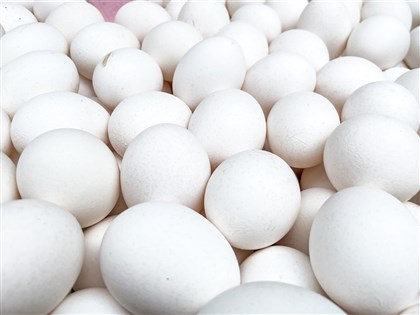 寒流影響產量 蛋價29日起產地批發皆漲2元