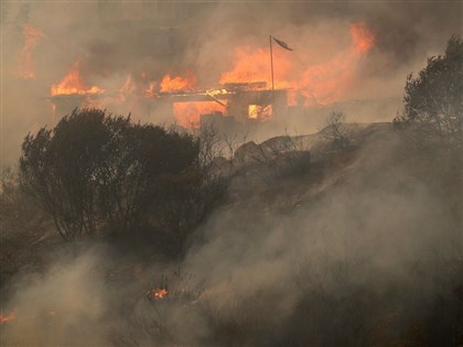 智利森林大火已釀46死 乾旱高溫加劇危機中南部緊急狀態